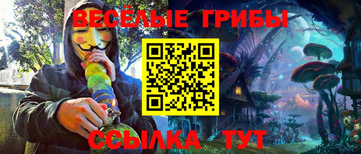 Электрогорск  Псилоцибиновые грибы MAGIC MUSHROOMS  купить наркотики сайты  Вход с VPN 